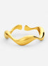 Anillo océano