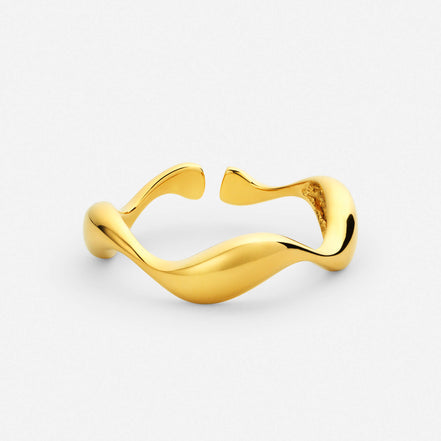Anillo océano
