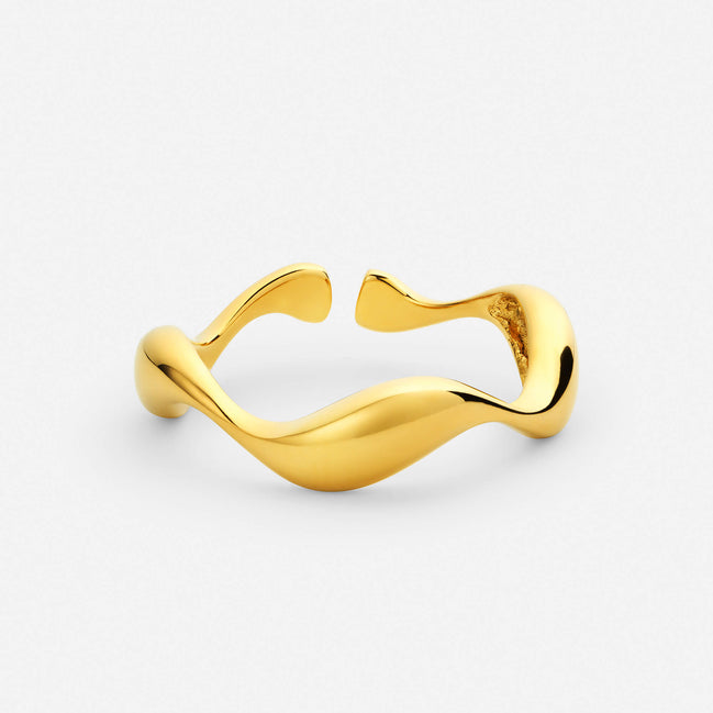 Anillo océano
