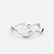 Anillo océano